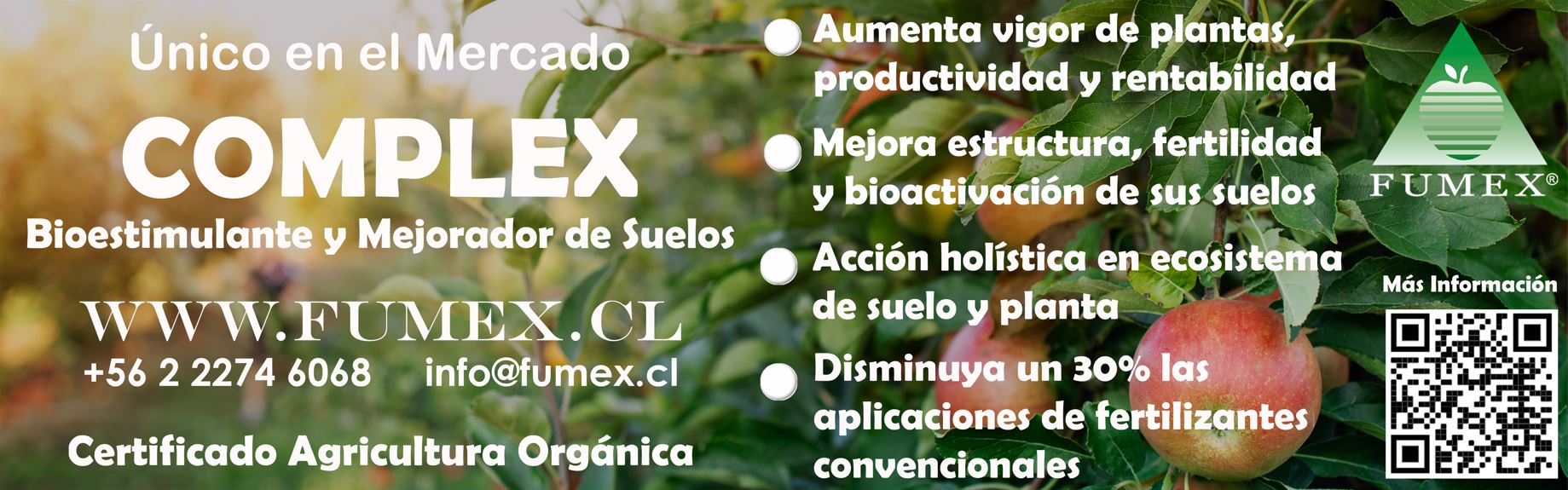 ¿Qué es Complex? Fumex